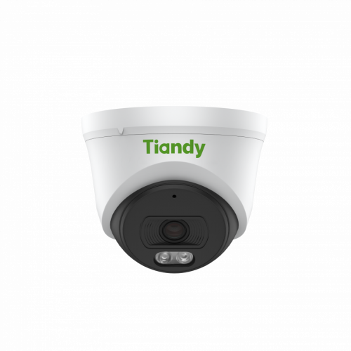 Tiandy 2MP Fixed Polar Day Turret Camera